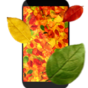 Apps Like Autumn Leaves in HD Gyro 3D & Comparison with Popular Alternatives For Today 9