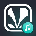 Apps Like DownloadAnySong & Comparison with Popular Alternatives For Today 12