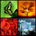 Apps Like Photo FX Live Wallpaper & Comparison with Popular Alternatives For Today 4
