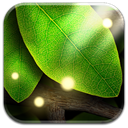 Apps Like Autumn Leaves in HD Gyro 3D & Comparison with Popular Alternatives For Today 10