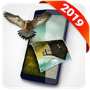 Apps Like MOSAIC 3D Wallpapers & Comparison with Popular Alternatives For Today 3