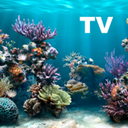 Apps Like The real aquarium HD & Comparison with Popular Alternatives For Today 3