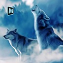 Arctic Wolf Sim 3D