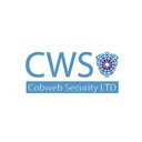 CWIS website antivirus