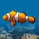 Apps Like Fish Farm 3: 3D Aquarium Live Wallpaper & Comparison with Popular Alternatives For Today 2