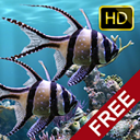 Apps Like Fish Farm 3: 3D Aquarium Live Wallpaper & Comparison with Popular Alternatives For Today 5