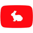 YouTube Rabbit Hole
